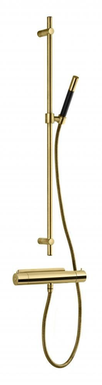 Tapwell Duschset Evo EVM168 + ZSAL300 Honey Gold